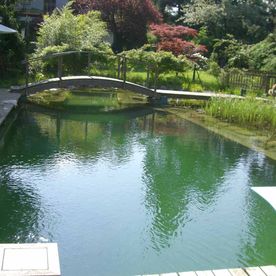 Fleischhacker Garten-Schwimmteich